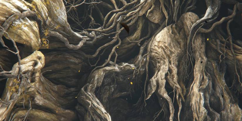 The weakened branches and roots of Miquella's Haligtree.