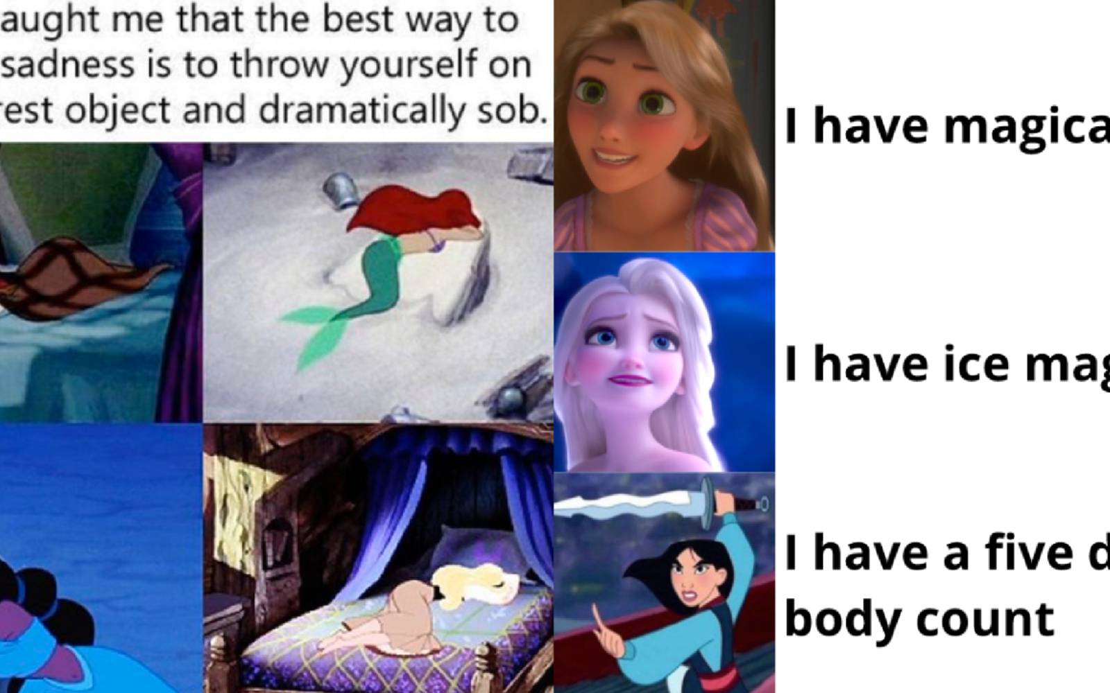 15 Disney Princess Memes That Got Way Too Real Disney Princess Memes