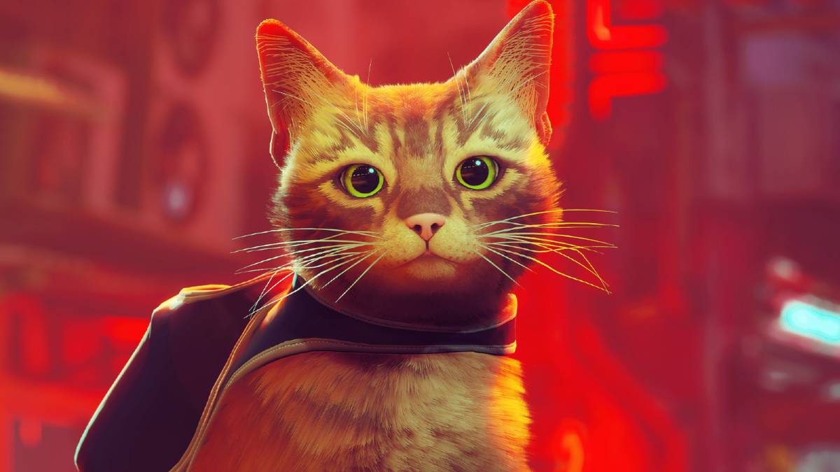 Backpack Fandom Stray Gets Its Own Line Of Travel Cat Backpacks