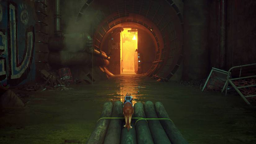 All Memory Locations In Stray