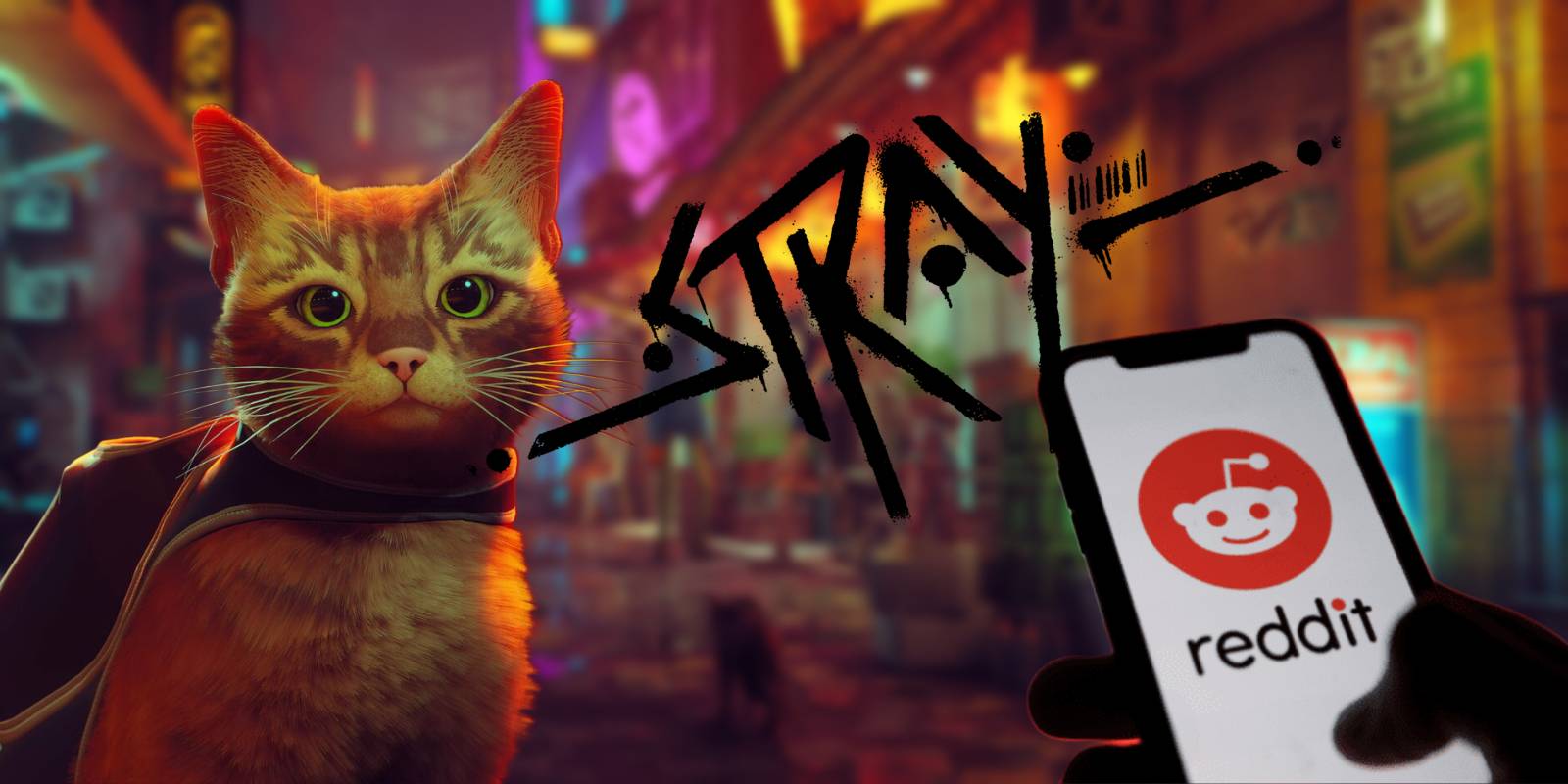 Stray Rattings Stray: 10 Hidden Details Found By Redditors