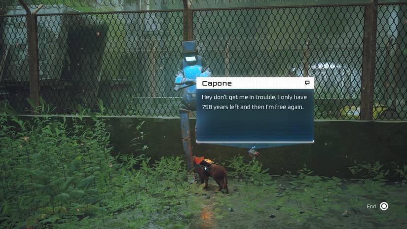 Stray’s Coolest Secrets, Easter Eggs, & References