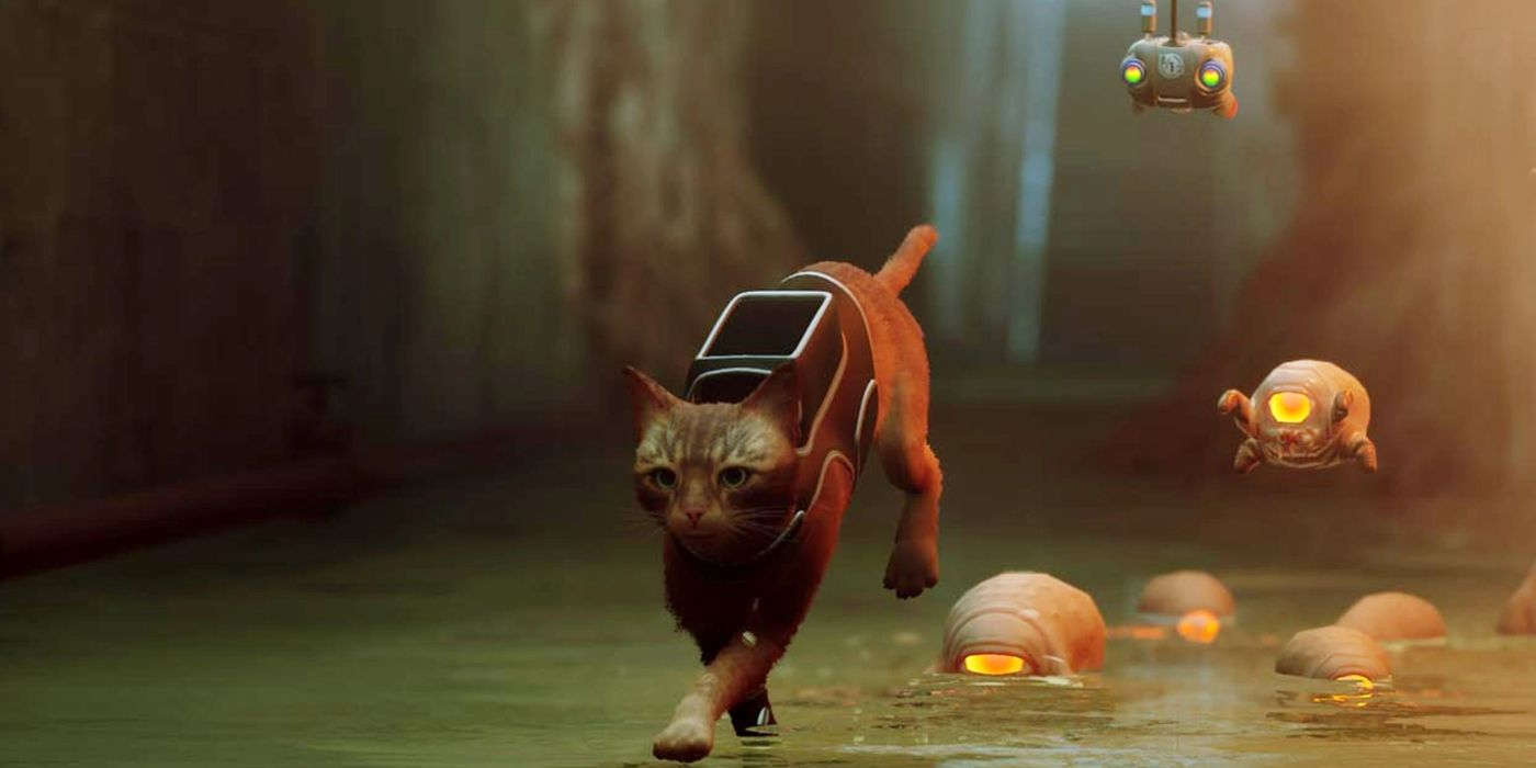 Stray: 10 Things We Learned About The Game's Dystopian World