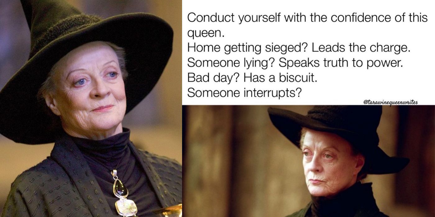 Harry Potter: 10 Memes That Perfectly Sum Up Minerva McGonagall As A  Character, image size:1400x700