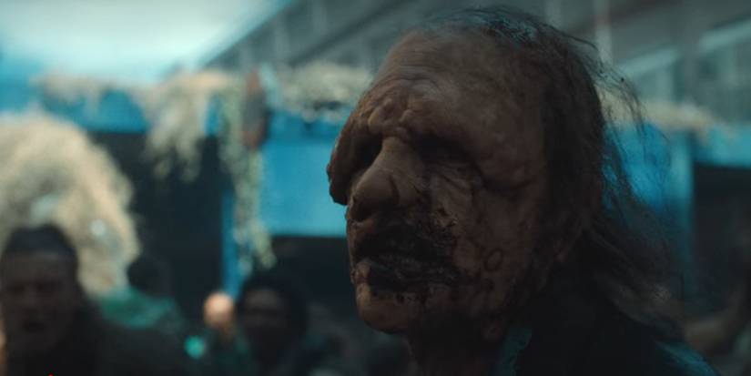 monstera deliciosa 'thai constellation' Monstera Thai Constellation in 6 Pot | Rare Variegated Thai Monstera for  sale