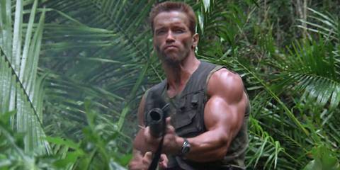 Predator Summary, Trailer, Cast, Where to Watch and More