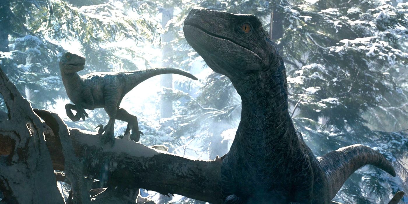 Explicación de lo que sucede con el paquete Velociraptor de Blue en las películas de Jurassic World