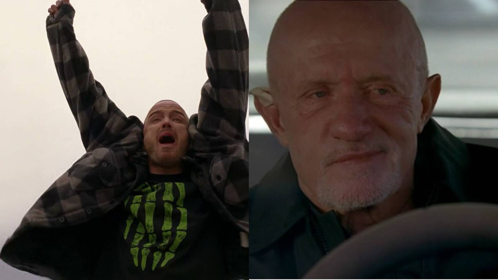 The 10 Funniest Breaking Bad Quotes, According to Reddit