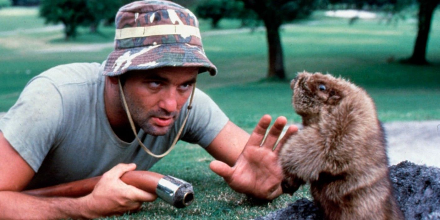 Bill Murray's 10 Best Movies, Ranked