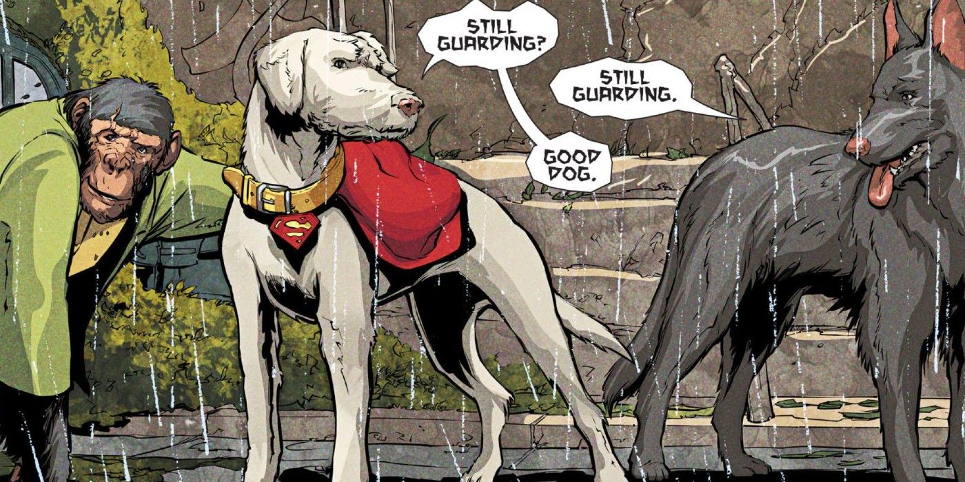 Estoy aún más emocionado por Krypto The Dog en la nueva película de Superman de DC después de que James Gunn nos dio Guardianes de la Galaxia Vol. 3