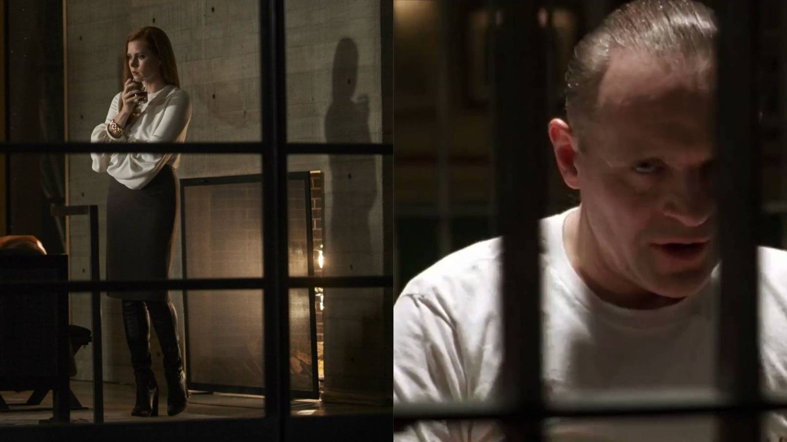 10 Most Disturbing Psychological Thrillers, According To Reddit