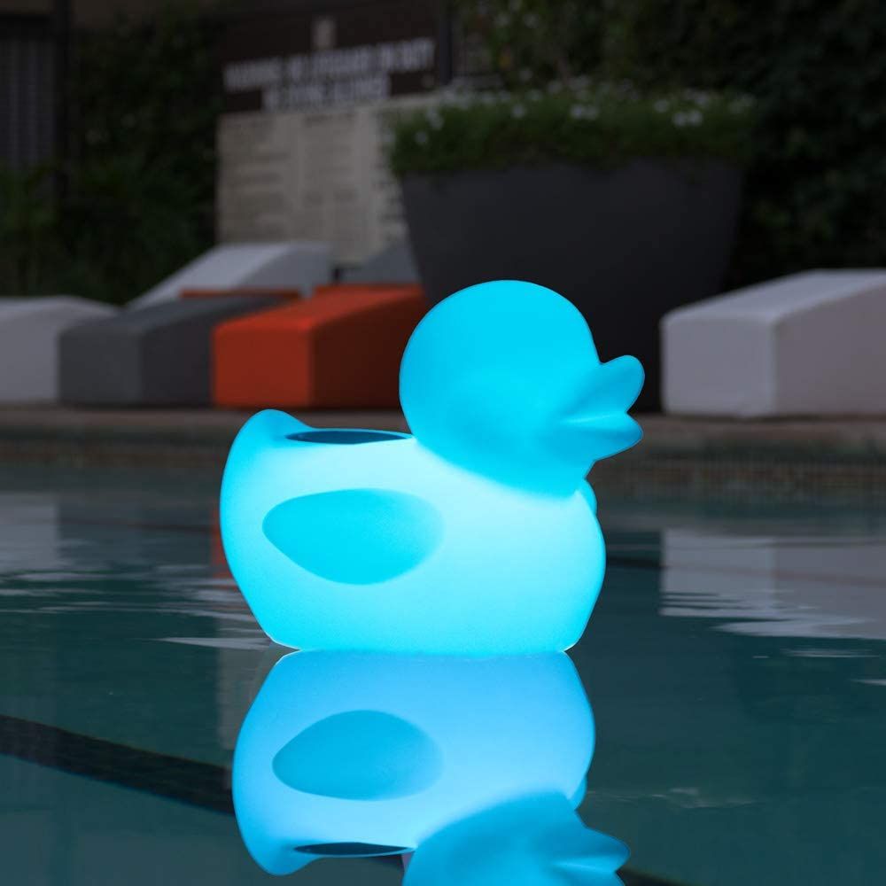 FloatingDuck_1