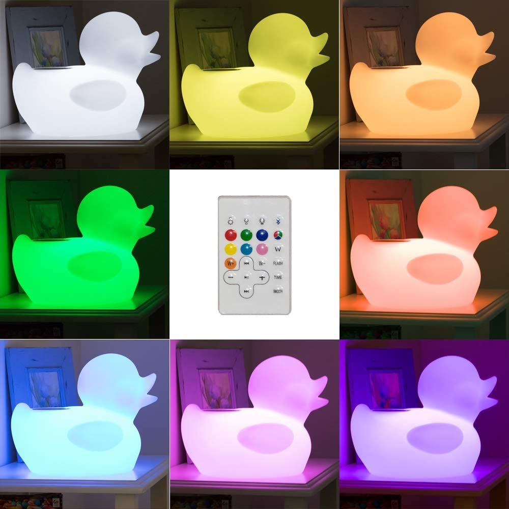 FloatingDuck_2
