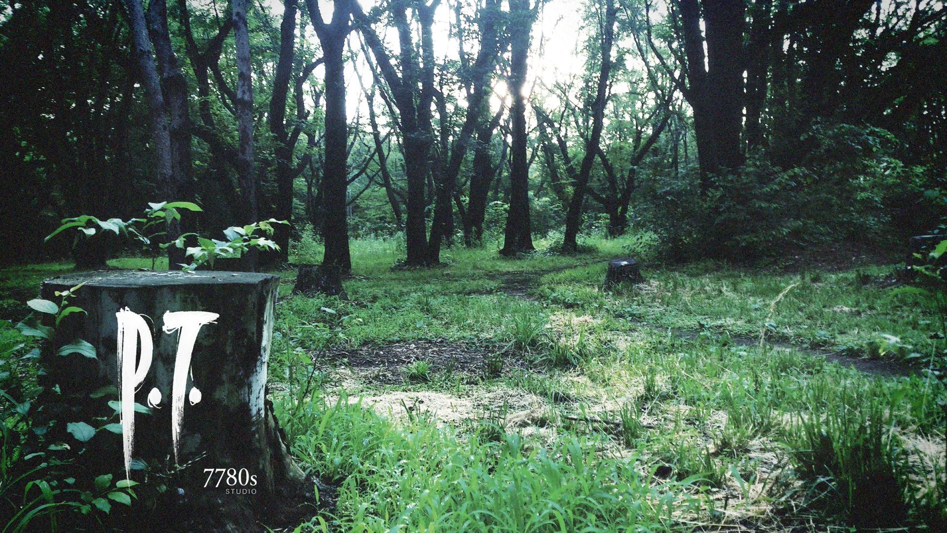P.T. Demo Background Image For Removed Silent Hills Demo