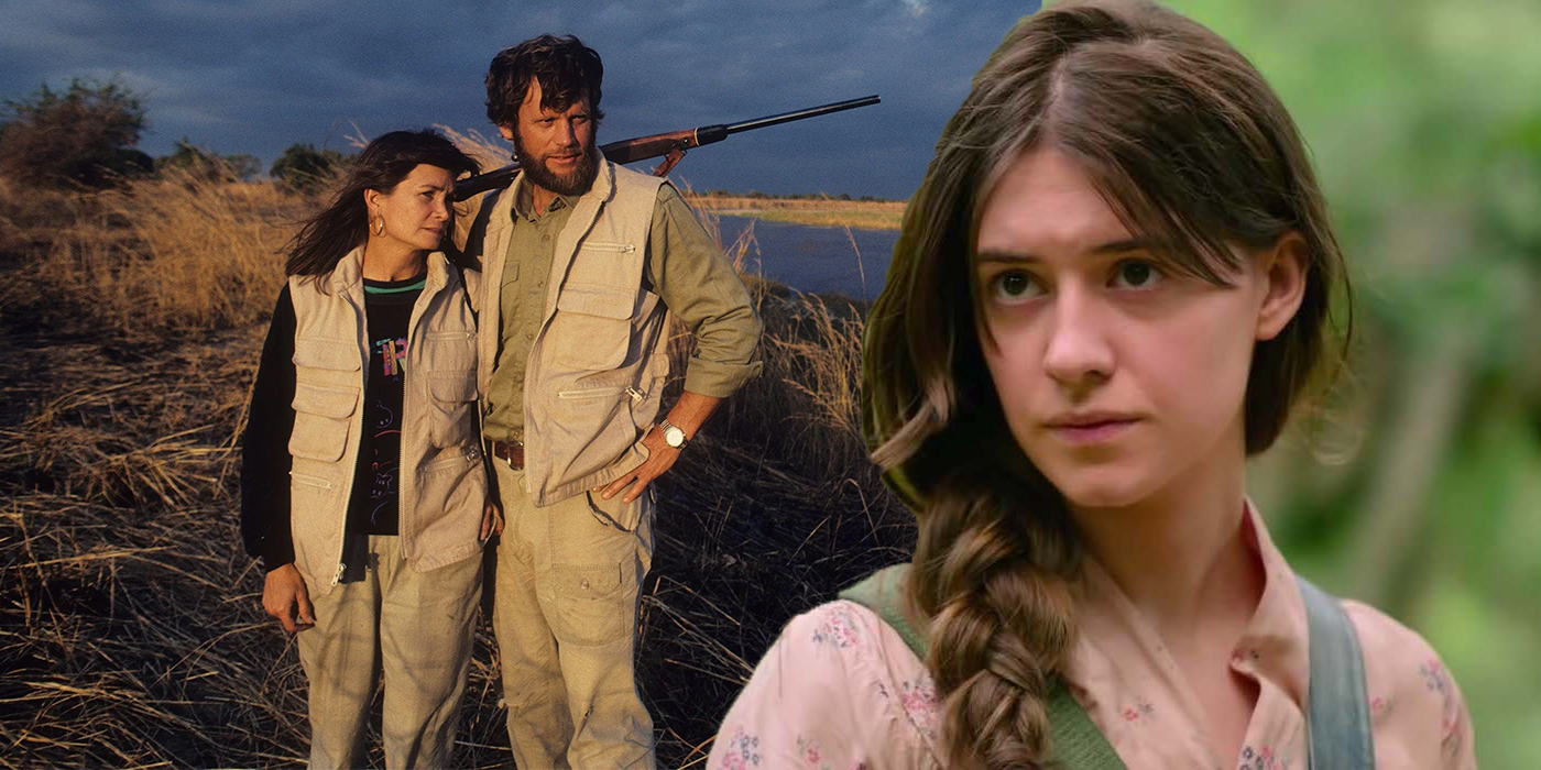 Where the Crawdads Sing Author Controversy Explained