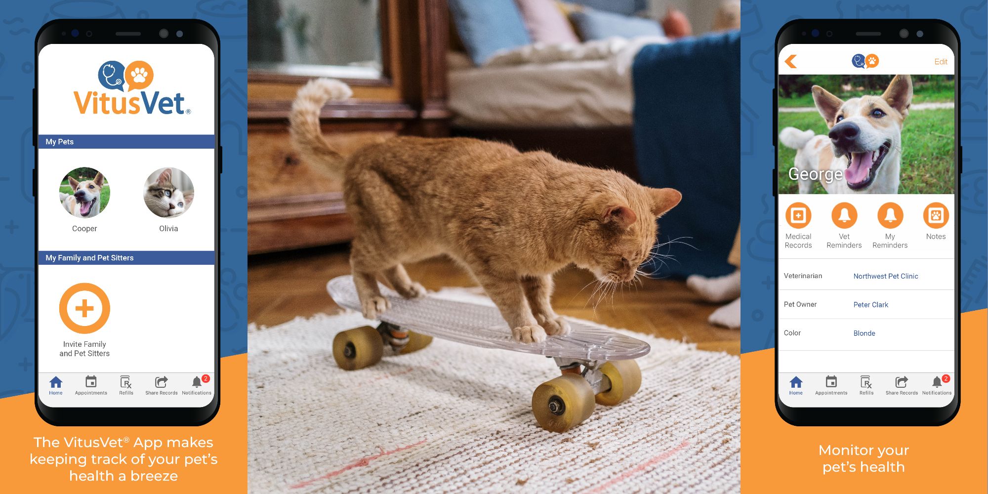 Photo d'un chat orange debout sur une planche à roulettes translucide.  De chaque côté de l'image apparaissent des smartphones annonçant l'application VitusPet.