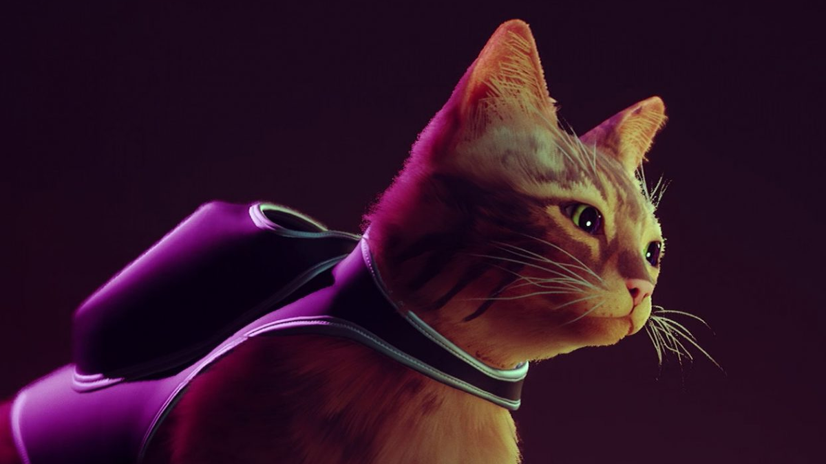 First-Person Stray Mod Lets You See The World Through A Cat's Eyes