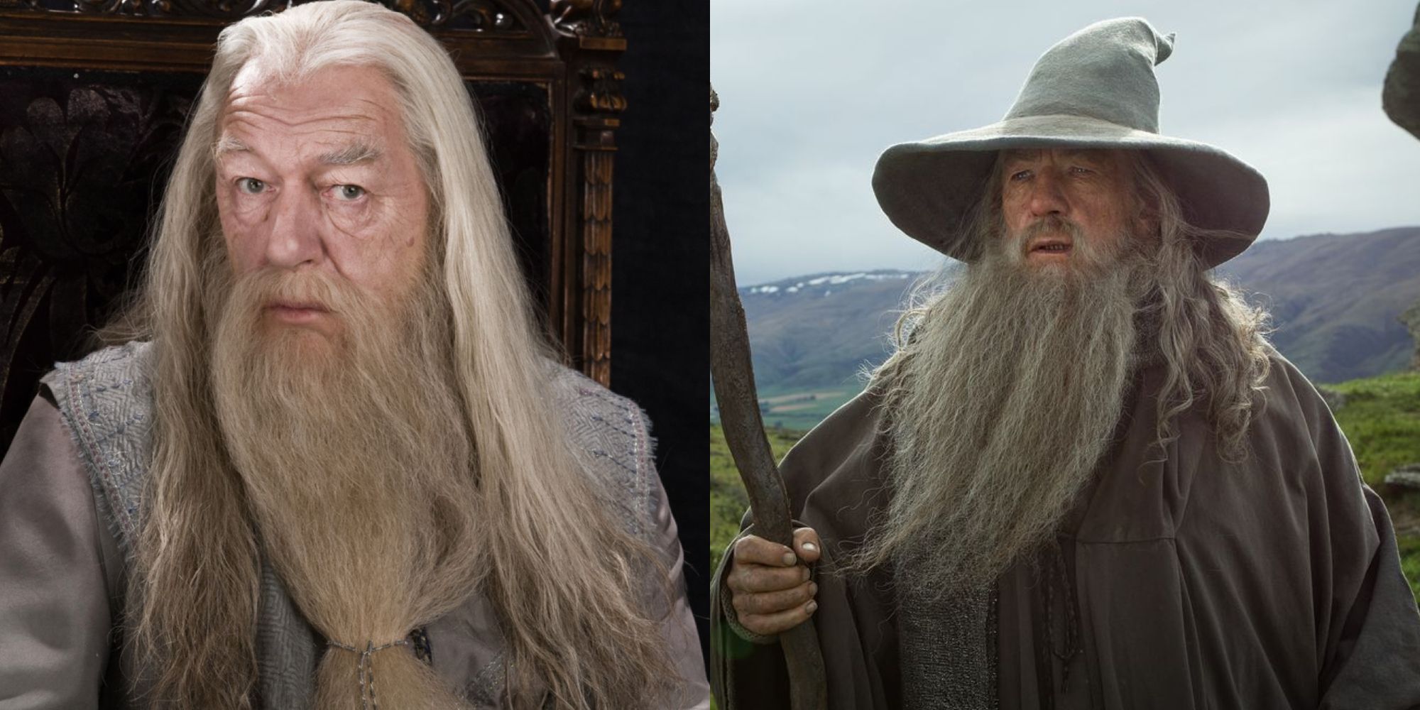 Albus Dumbledore e Gandalf em confronto hipotético de magos.