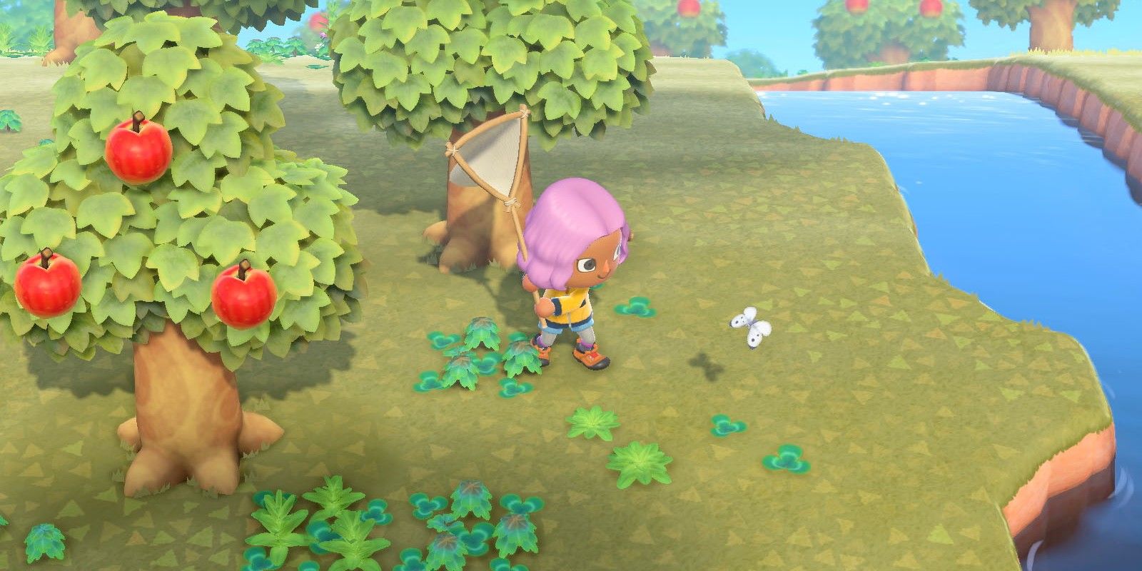 Animal Crossing New Horizons Bug Catching