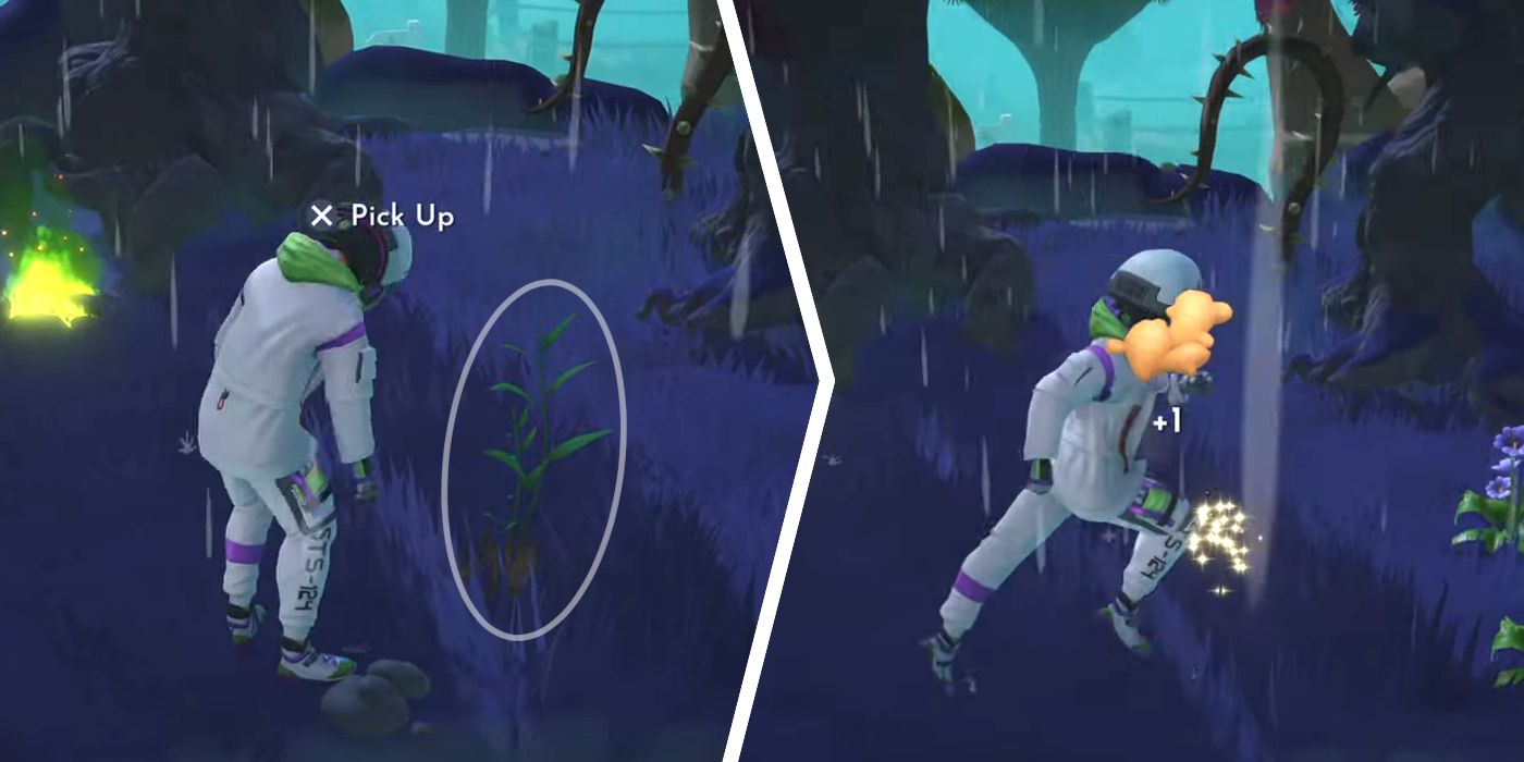 Disney Dreamlight Valley: How To Get (& Use) Ginger