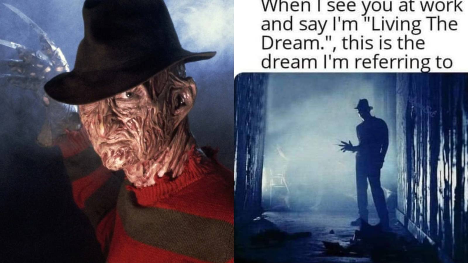 10 Best Freddy Krueger Memes 10-best-freddy-krueger-memes
