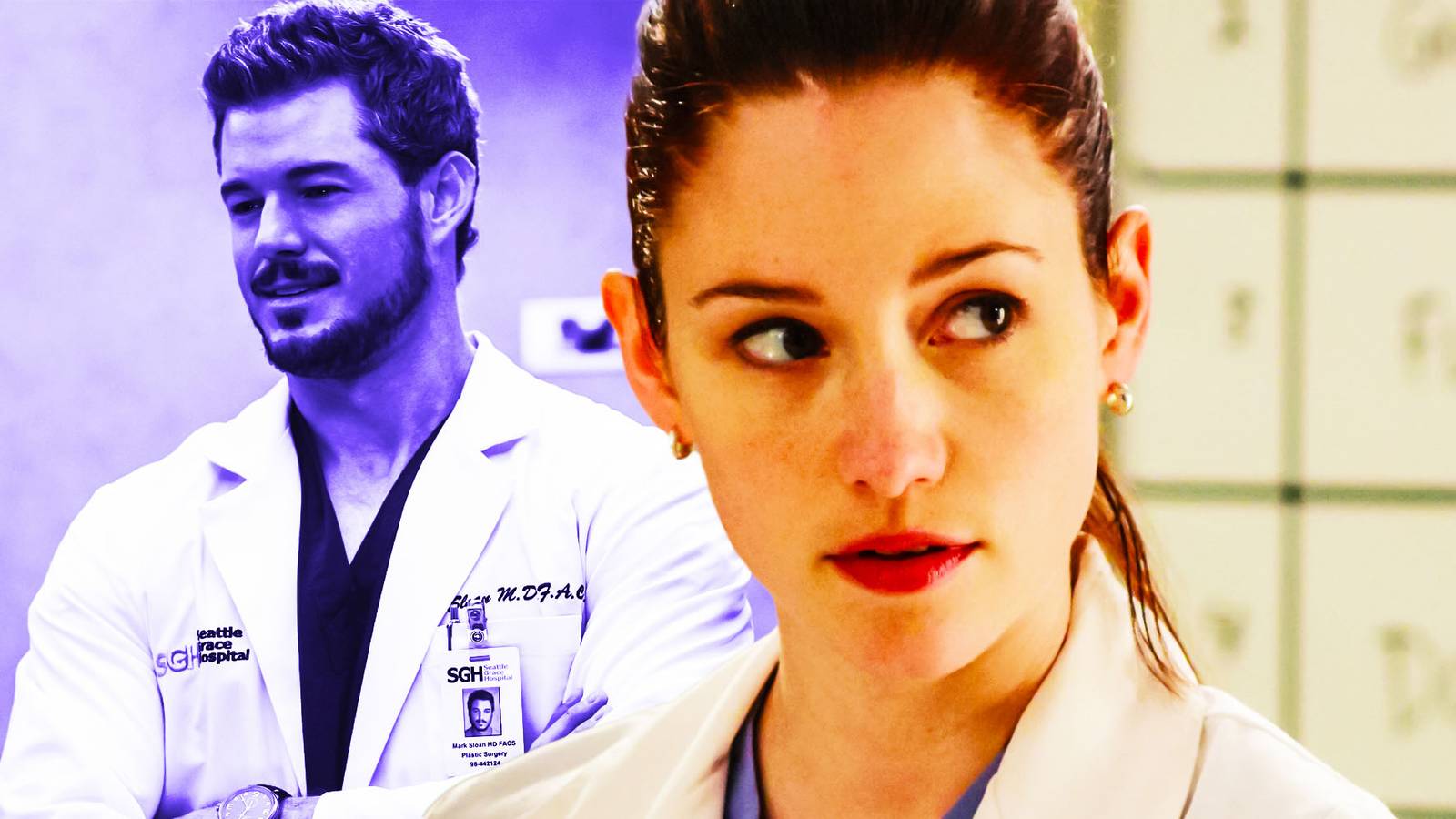 Sloan Riley Grey's Anatomy: How Old Sloan Is Compared To Lexie