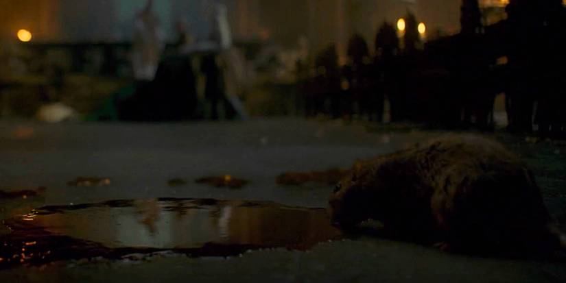 blood-cheese-explained-that-house-of-the-dragon-season-2-death-book