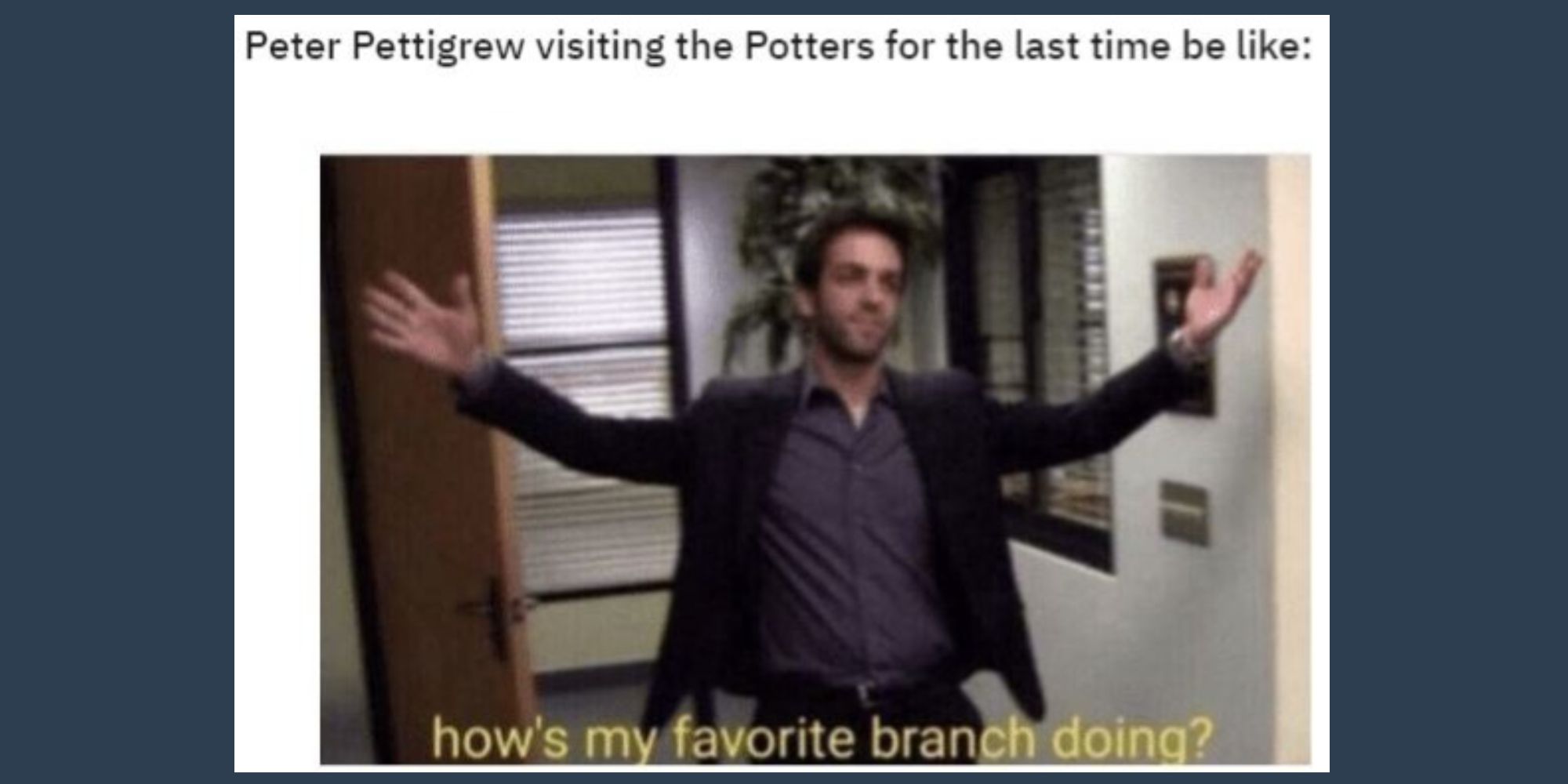 Peter Pettigrew as Ryan from the Office meme