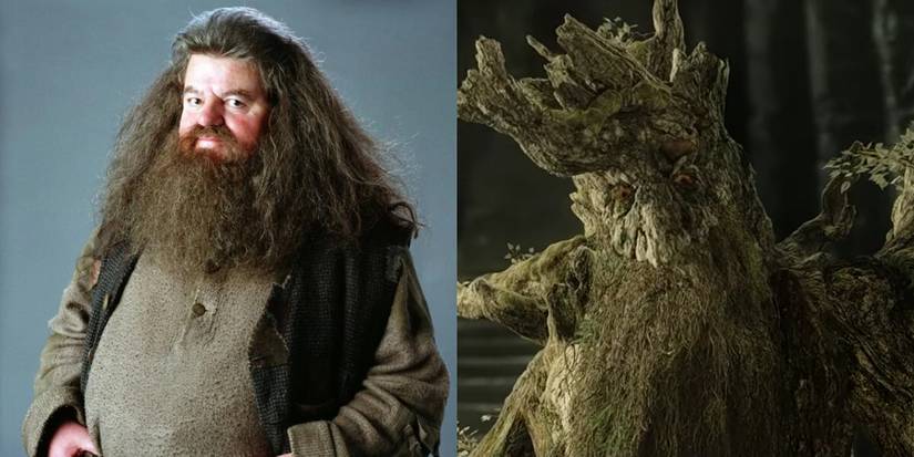 10 Harry Potter & Lord Of The Rings Pairings That Would Make Great ...