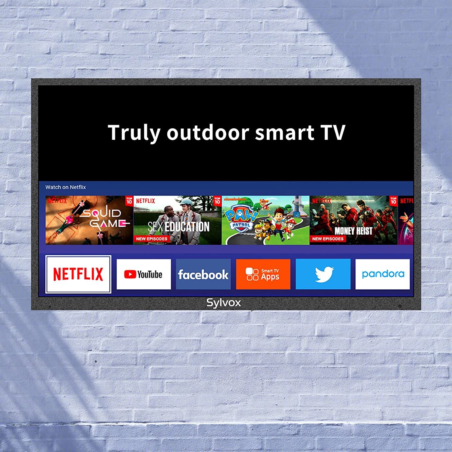 Best Outdoor TVs (Updated 2022)