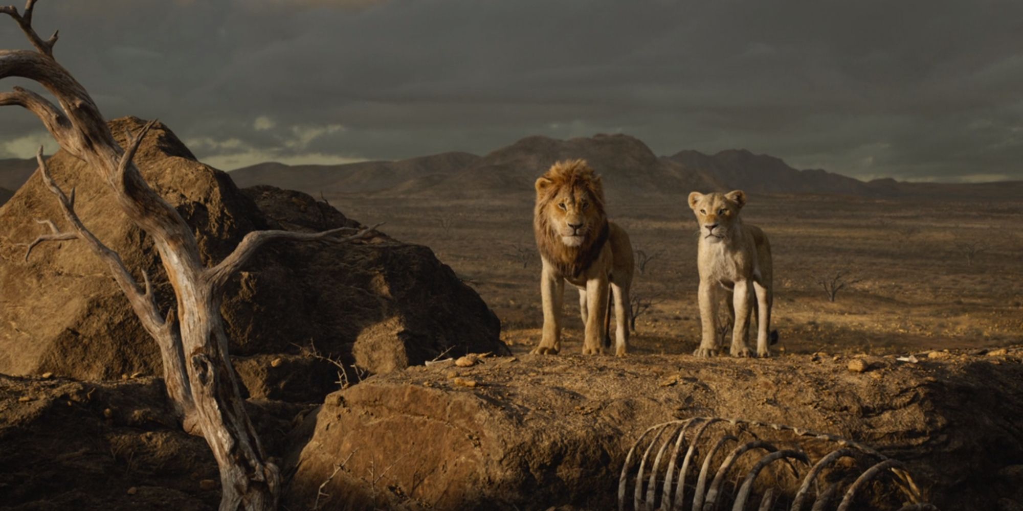 Donald Glover & Beyonc's The Lion King Return Confirms Major Theory About Mufasa's Story