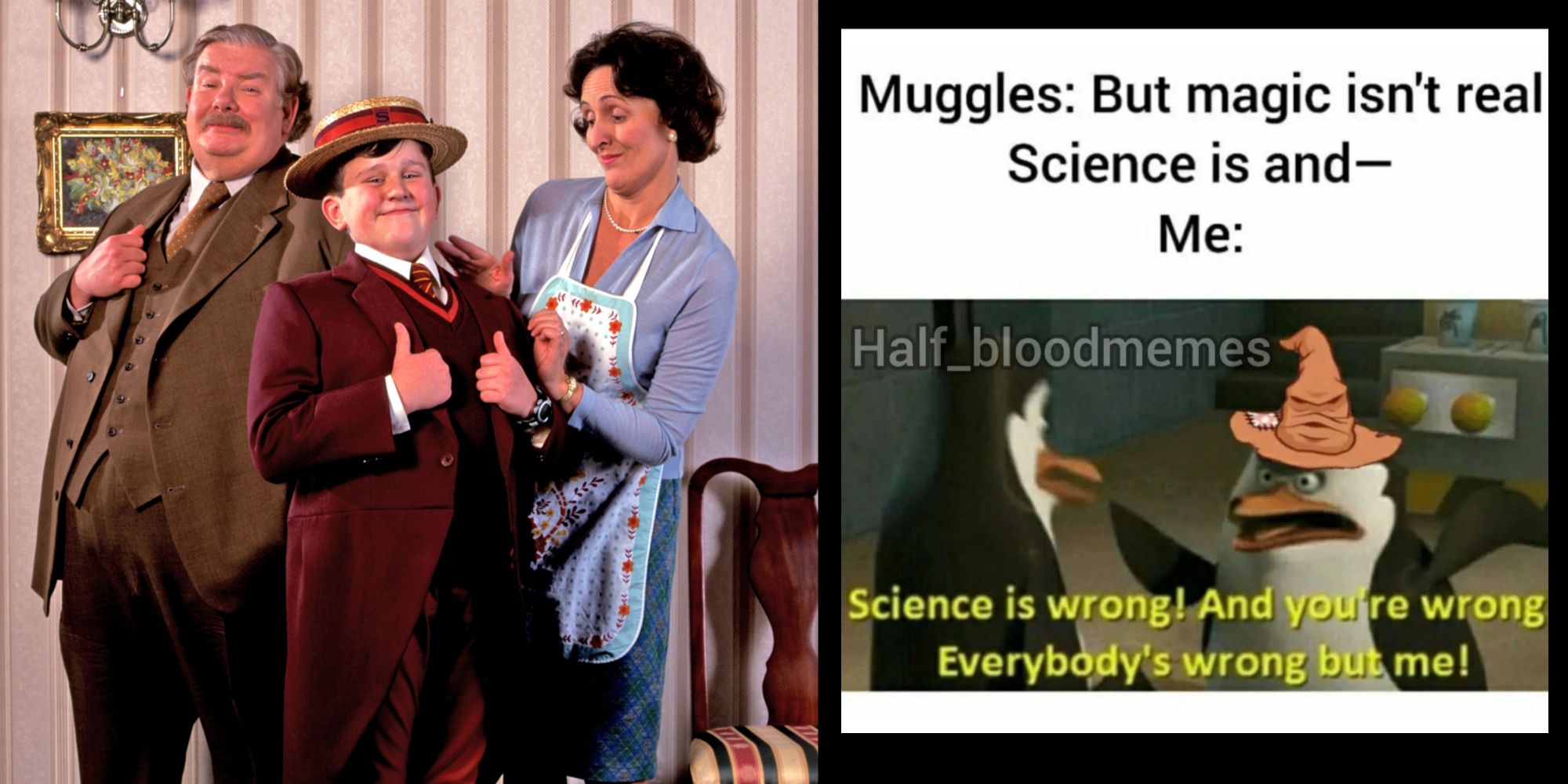 Harry Potter: 10 Memes That Perfectly Sum Up Muggles, image size:2000x1000