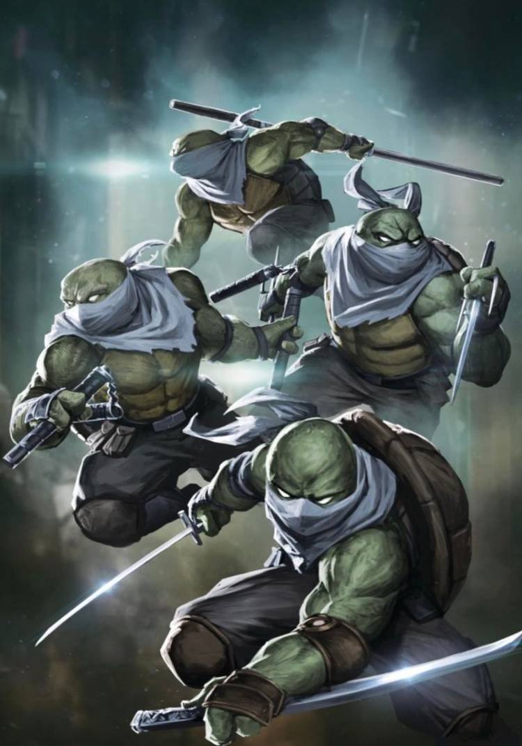 TMNT's Four New Turtles Officially Have a Name