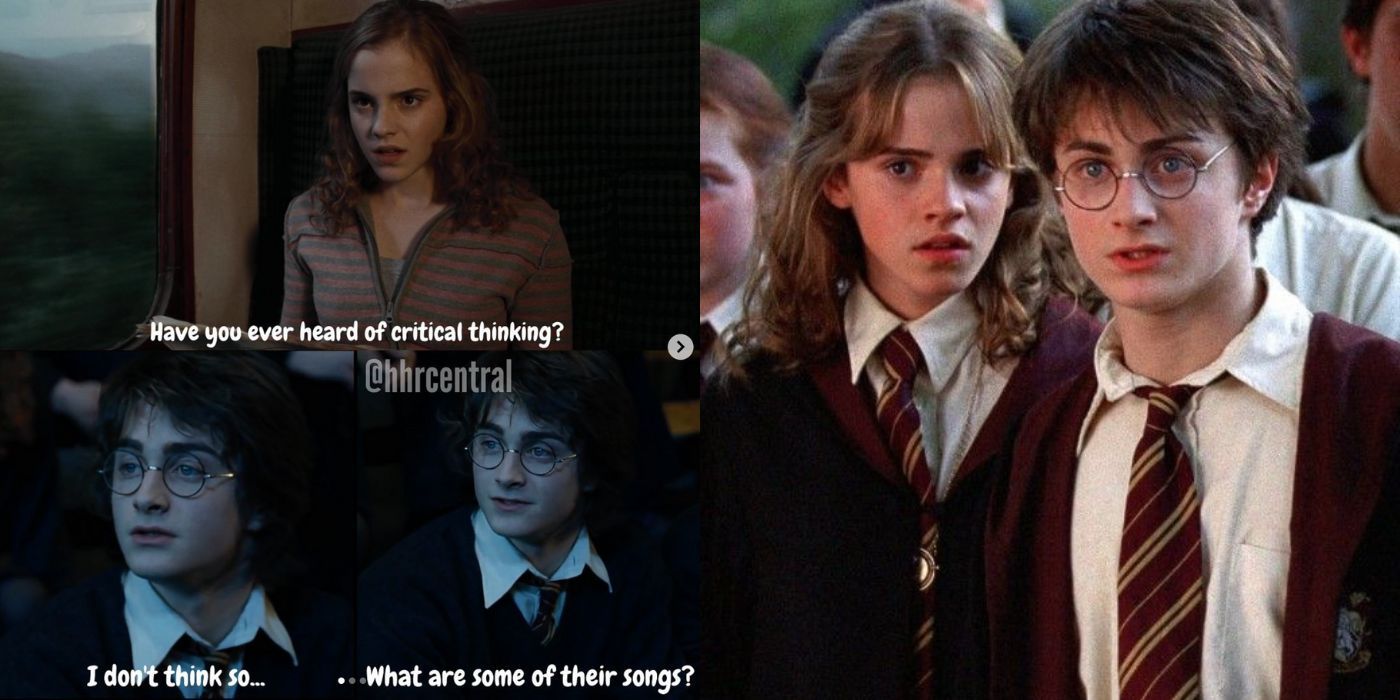 Harry Potter: 10 Memes That Perfectly Sum Up Harry \u0026 Hermione's Friendship, image size:1400x700
