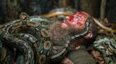 Snake Pit Ragnar All 6 Vikings Seasons, Ranked Worst To Best