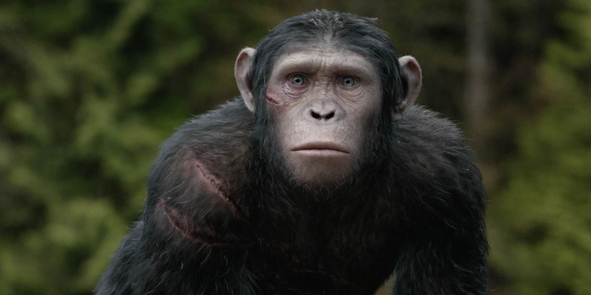 Planet of the Apes: All Movie Timelines Explained