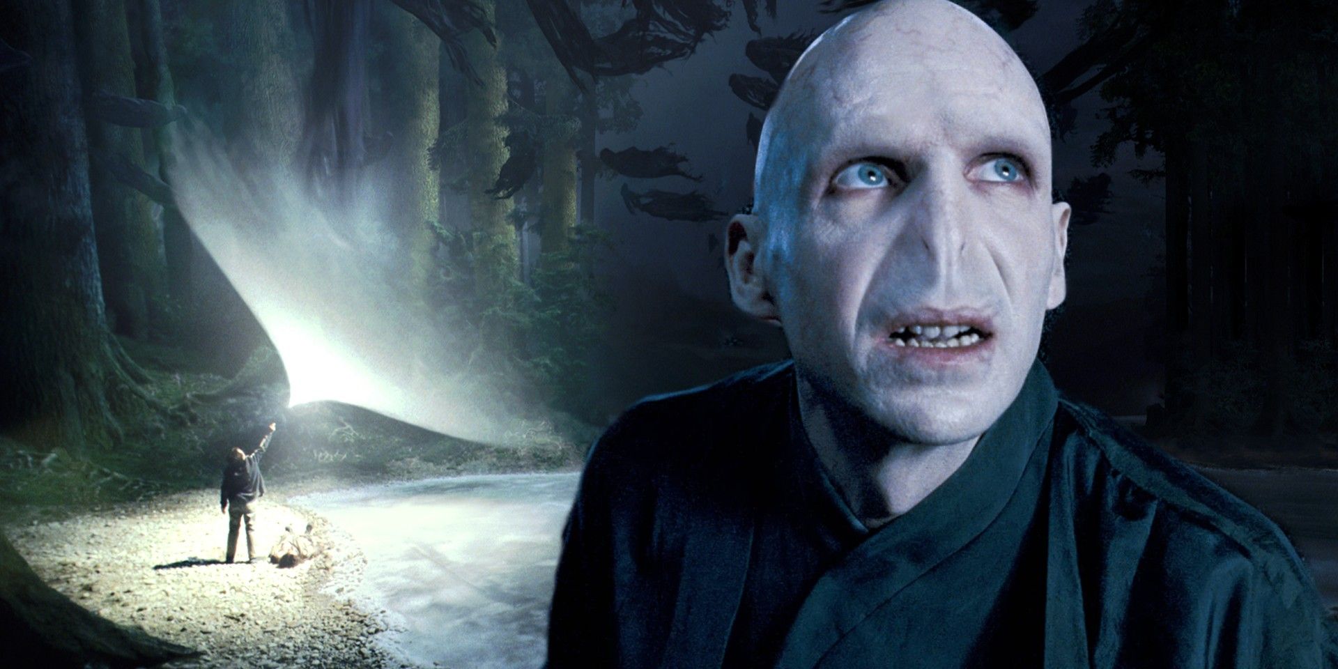 Why Voldemort Couldn't Cast 1 Major Spell In Harry Potter, image size:1920x960