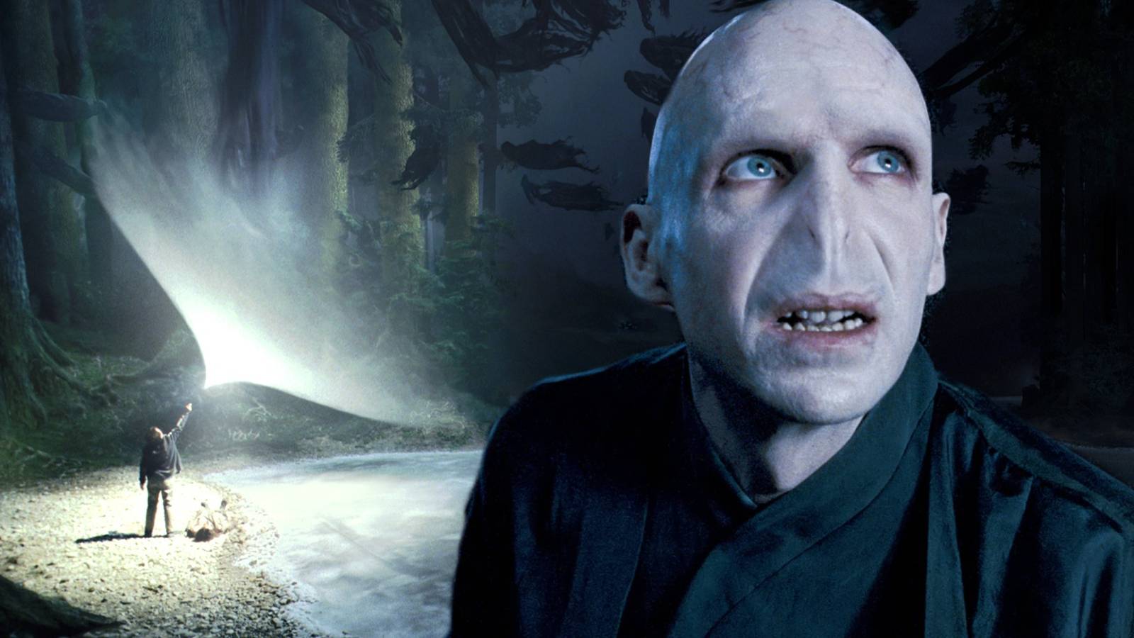 Why Voldemort Couldn’t Cast 1 Major Spell In Harry Potter