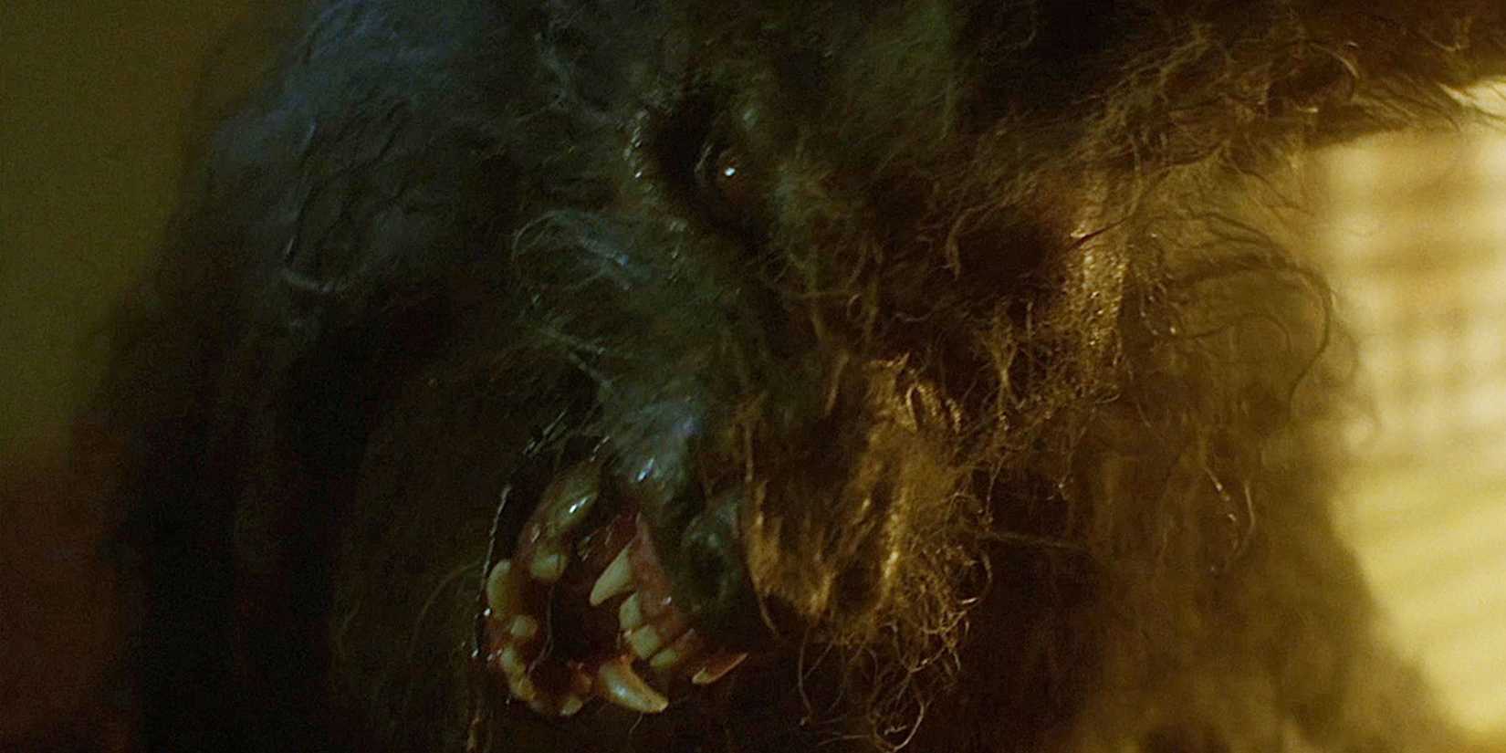 A werewolf in its final form in The Howling (1981)