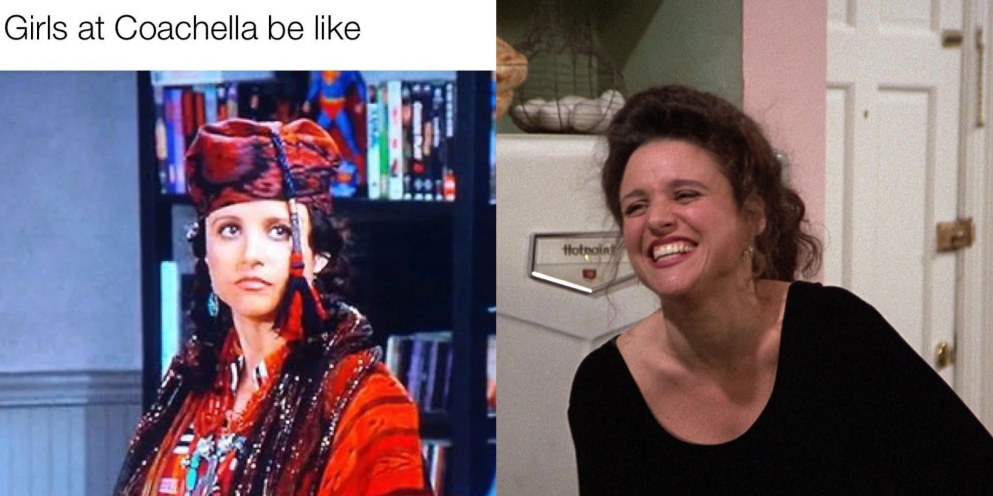 Seinfeld: 10 Memes That Perfectly Sum Up Elaine's Character, image size:2000x1000