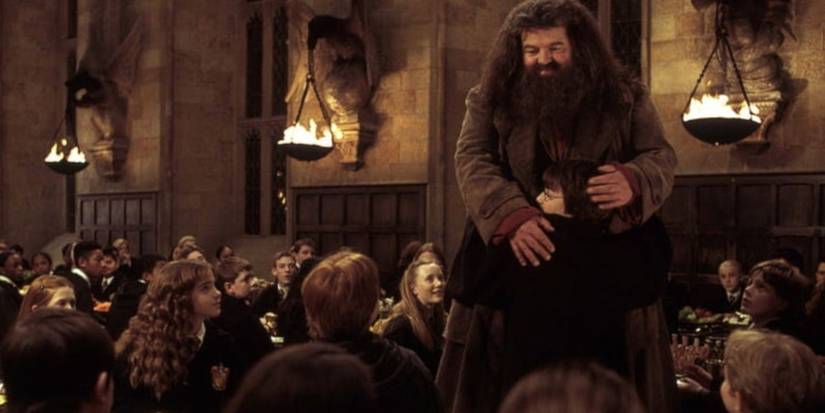 Did Hagrid Open The Chamber Of Secrets