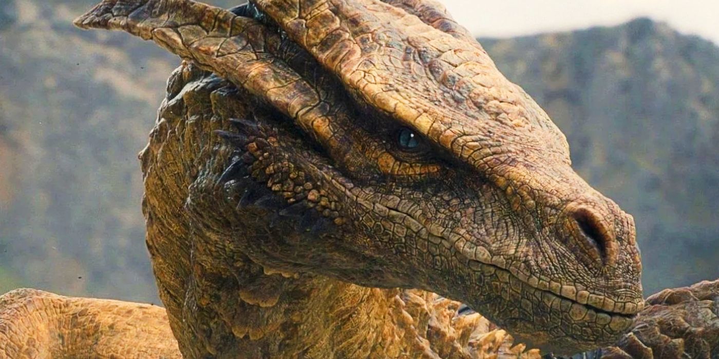 Every Dragon In House Of The Dragon Explained