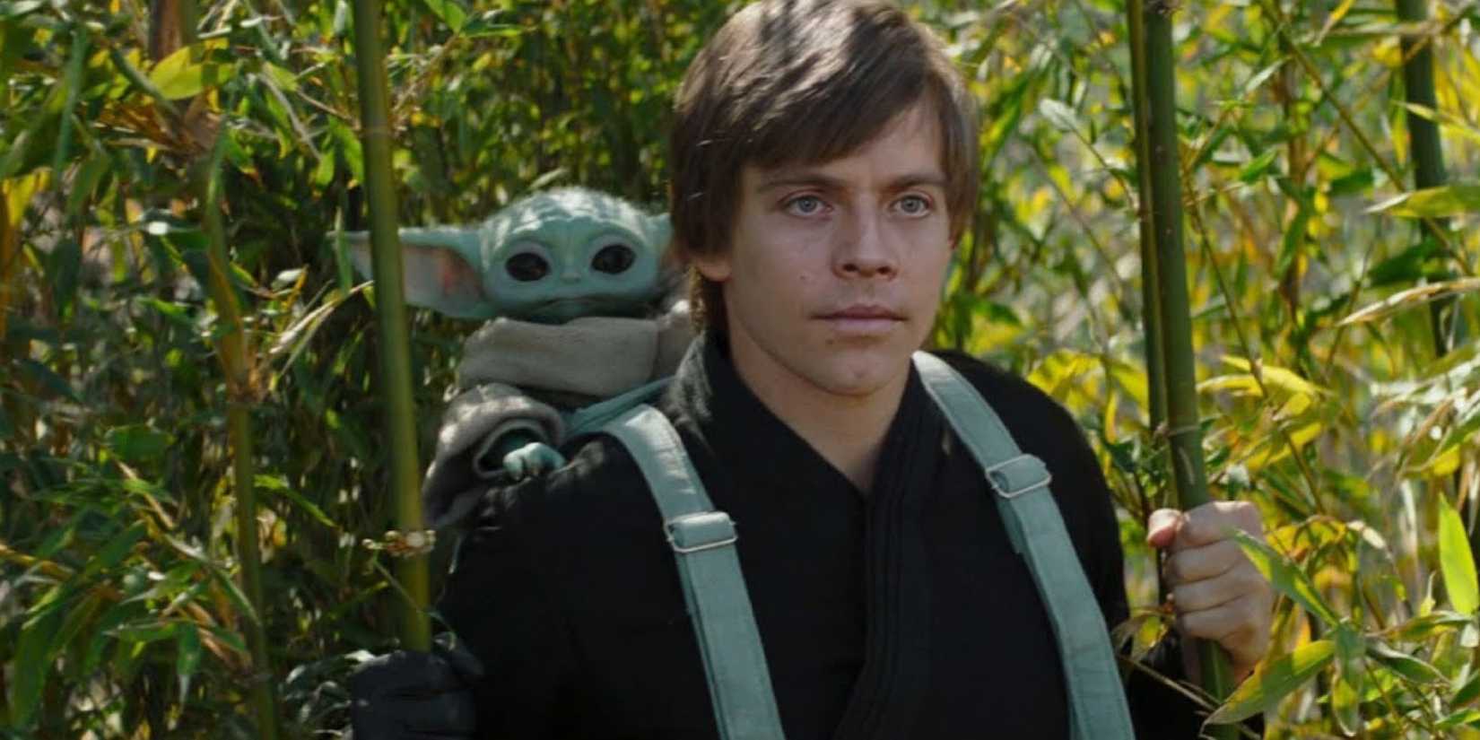 Why Grogu Leaves His Jedi Coaching Earlier than The Mandalorian and Grogu