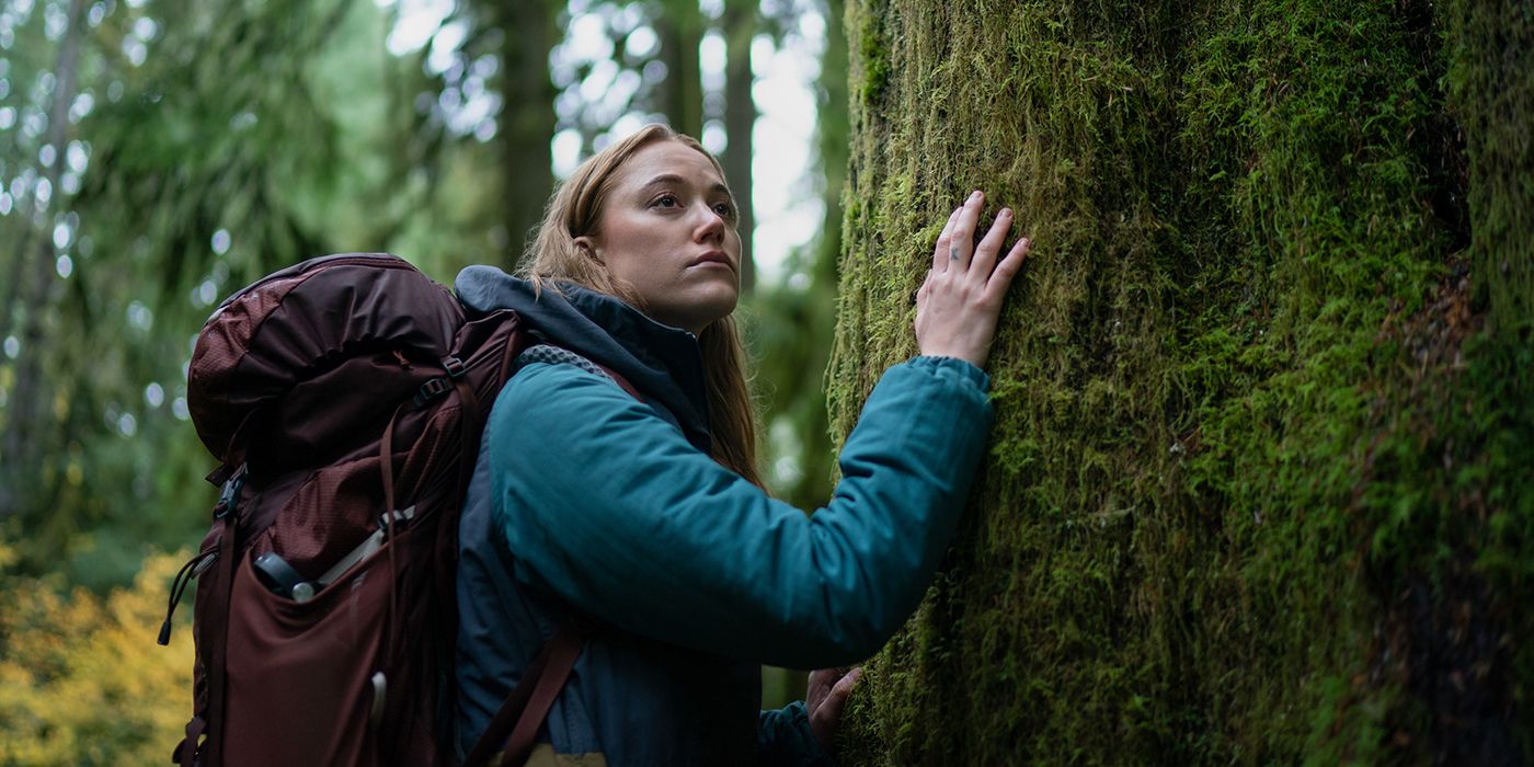 30 Hiking Horror Movies To Watch If You Love The Outdoors