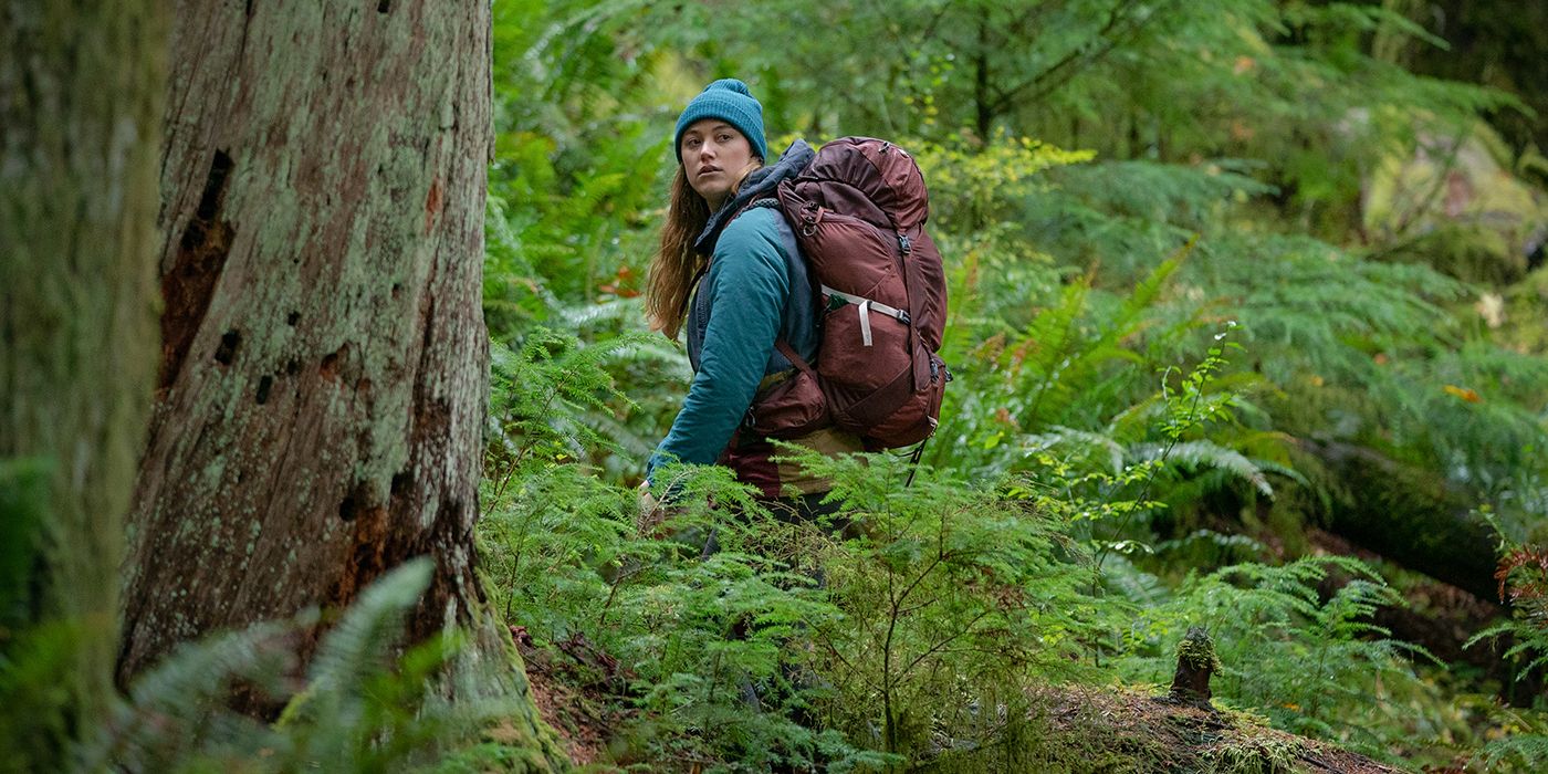 30 Hiking Horror Movies To Watch If You Love The Outdoors