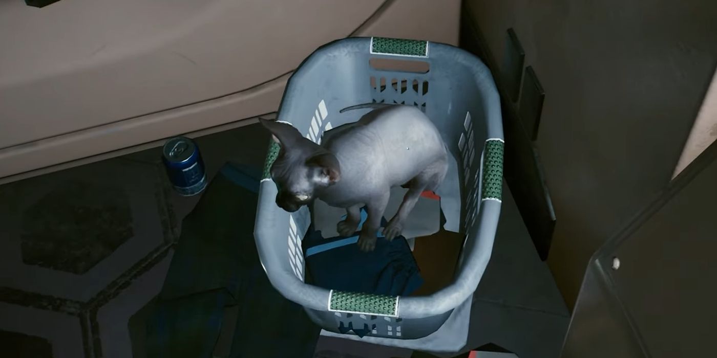 山猫 How To Adopt a Cat in Cyberpunk 2077