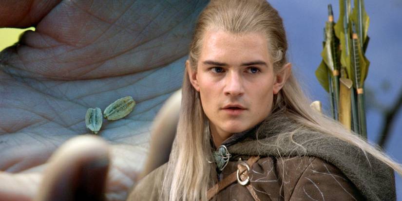 5 Epic Legolas & Gimli Moments That Happened After Lord Of The Rings