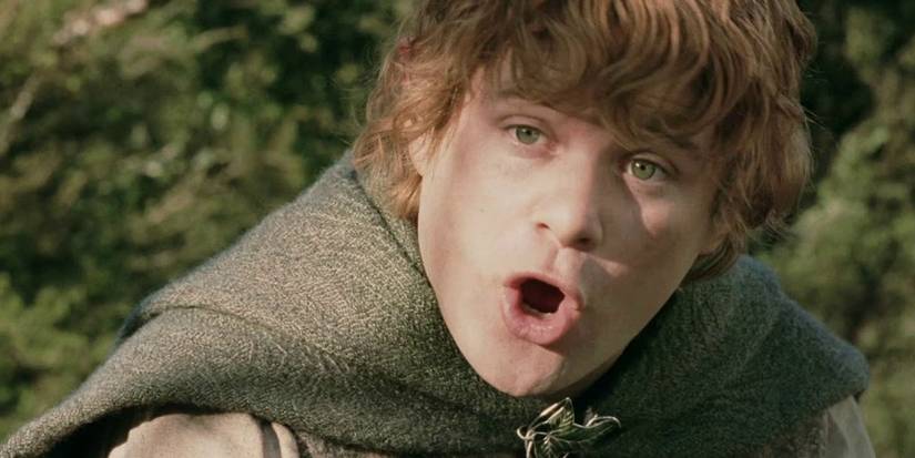 Lord Of The Rings: The Funniest Quote From Every Fellowship Member