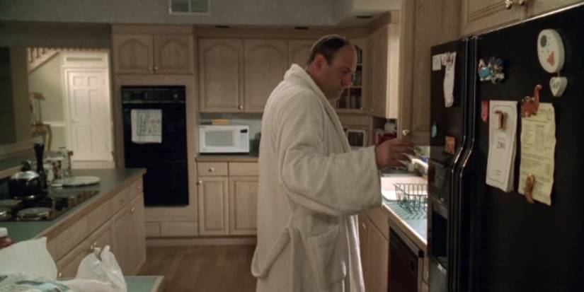 The Sopranos: 10 Hidden Details You Missed About The Soprano Mansion