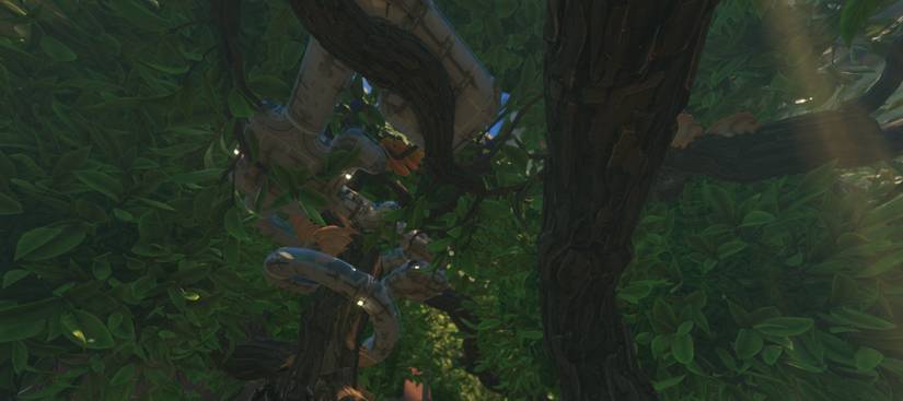 Best Locations To Build a Base in Grounded